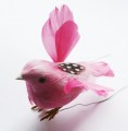 Veren vogel vlieg roze